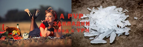 индика Армянск
