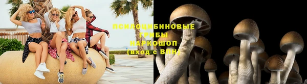 дмт Арсеньев