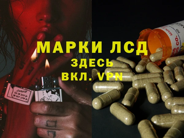 дмт Арсеньев