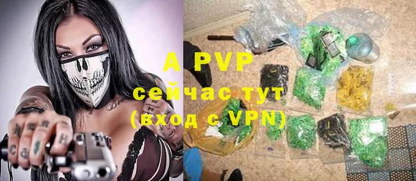индика Армянск