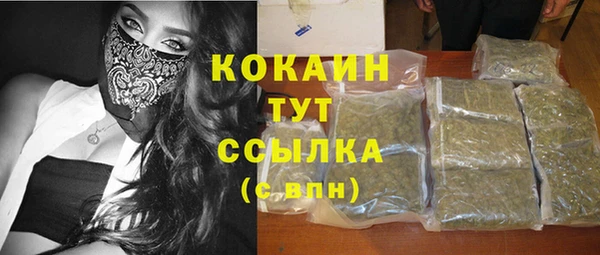 дмт Арсеньев