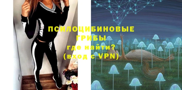индика Армянск