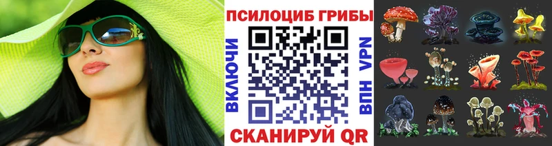 кракен вход  Багратионовск  Галлюциногенные грибы ЛСД  купить  сайты 